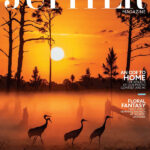 Jupiter Magazine – February 2024